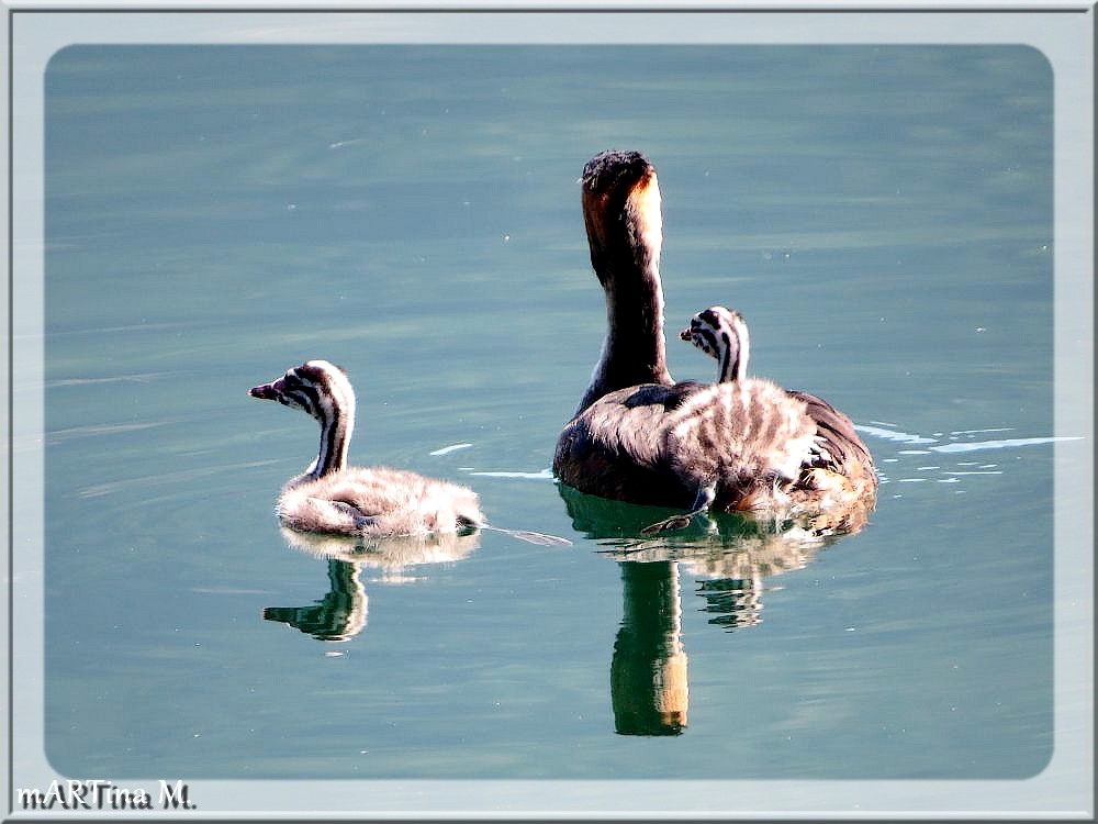 Familienausflug  (mit Gedicht)