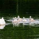 Familienausflug mit Kindern