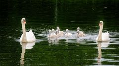 Familienausflug mit Kindern