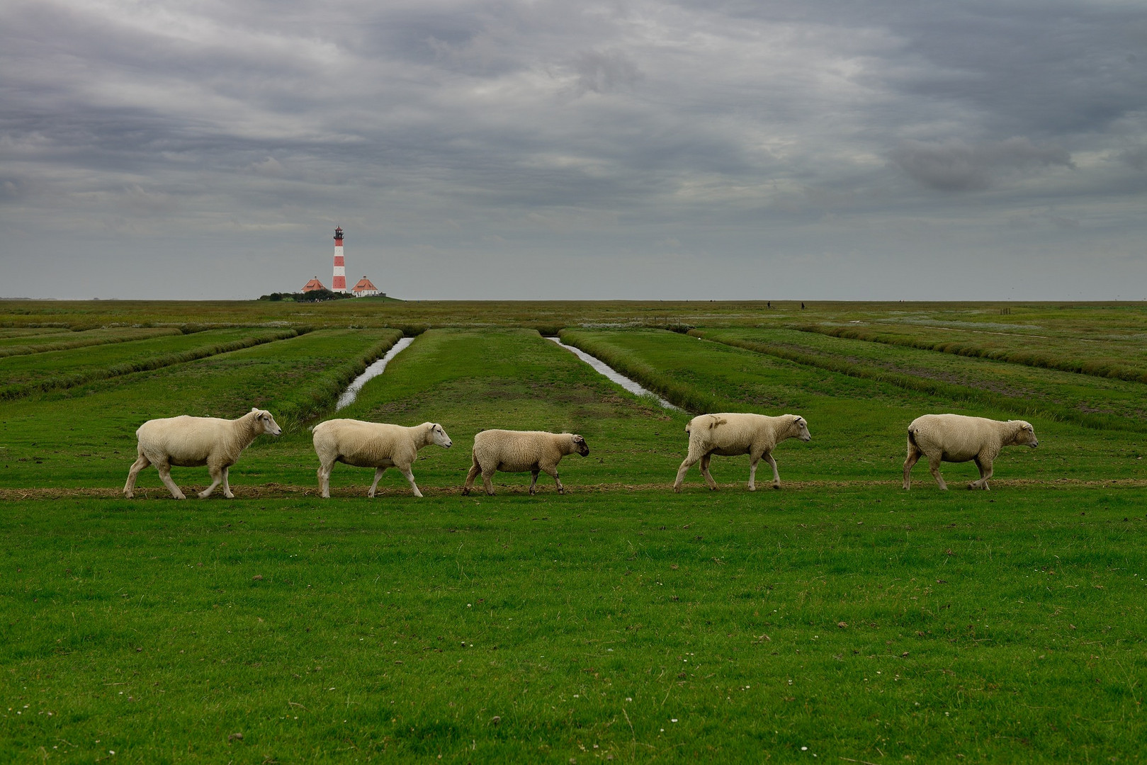 Familienausflug nach Westerhever