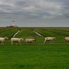 Familienausflug nach Westerhever