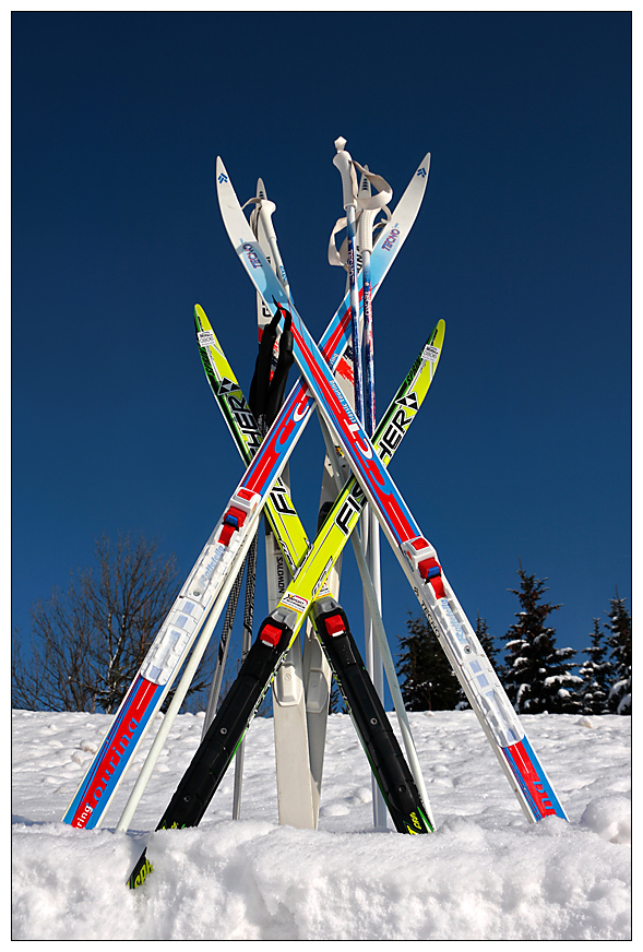 Familienausflug... Ski heil !