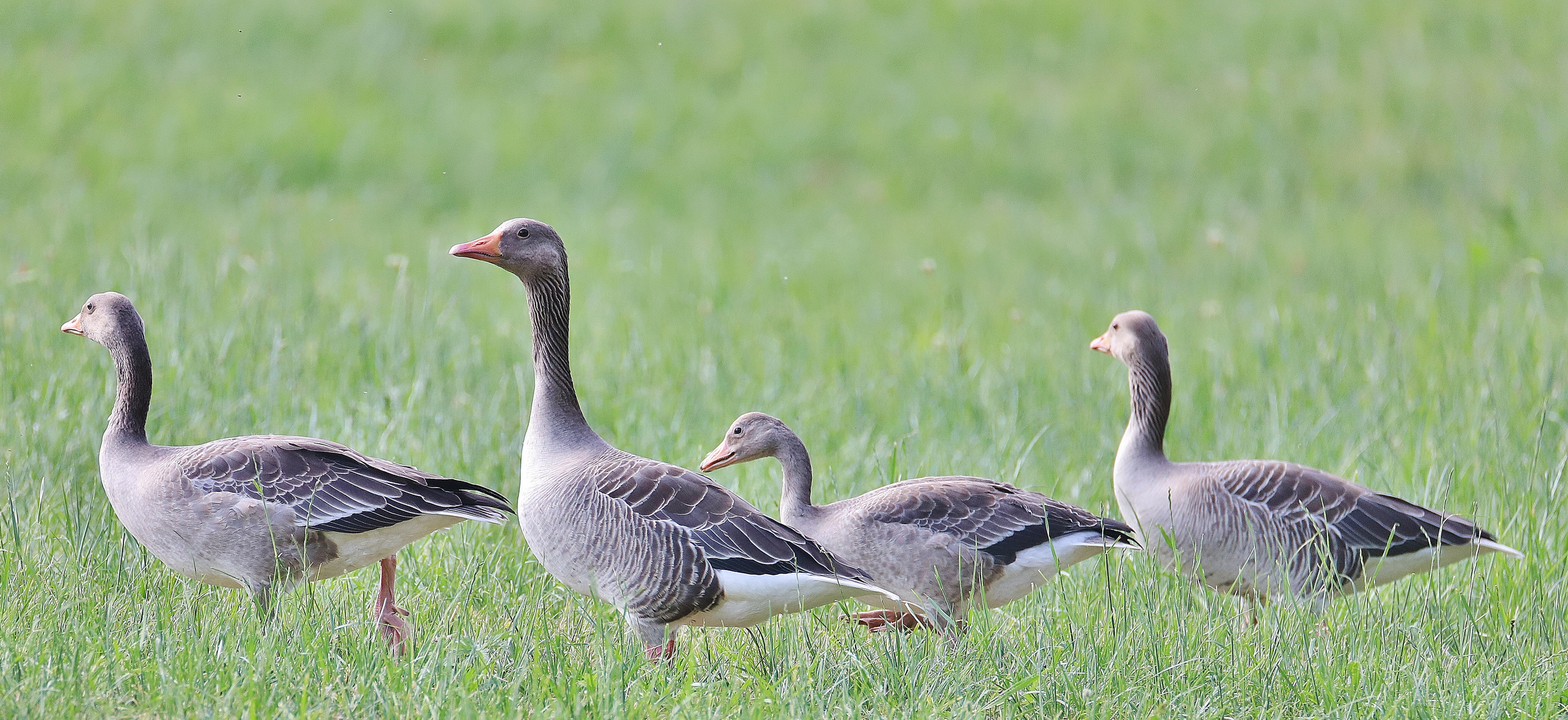 Familienausflug/ Sonntagsausflug :-)