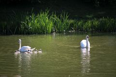 Familienausflug und Papa sichert ab