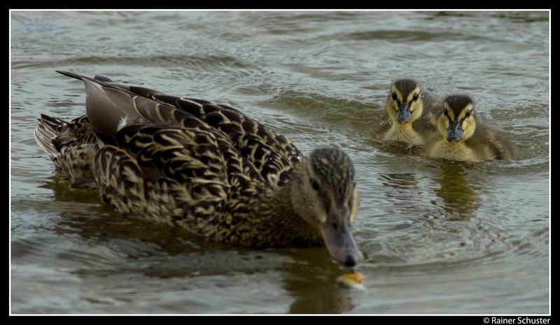 Familienausflug01