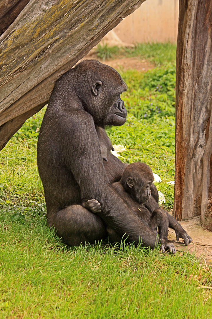 Familienbande