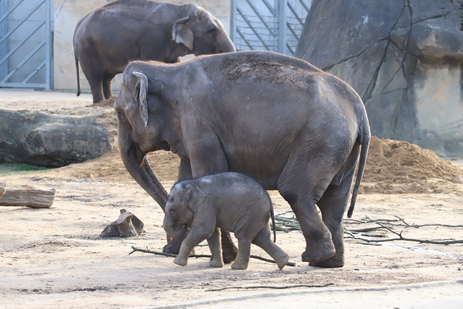 Familienbande