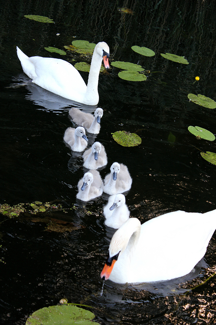 Familienbild