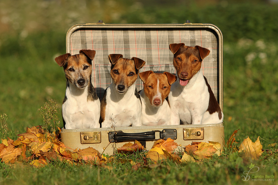 Familienbild...