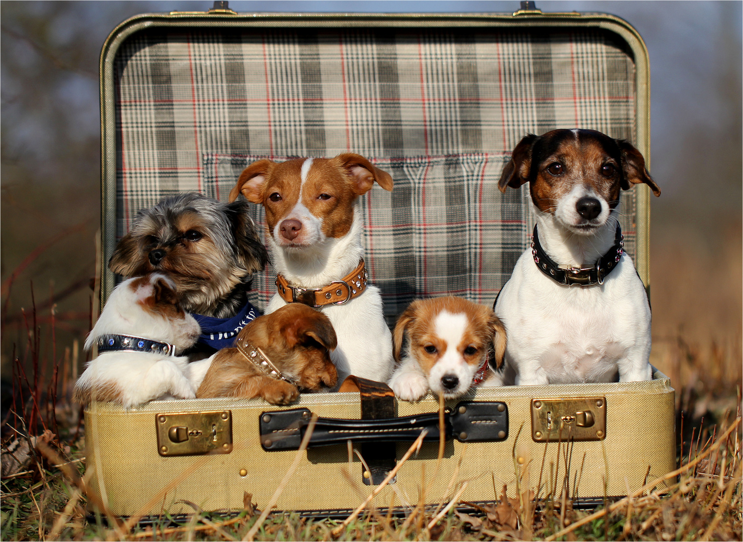 Familienbild