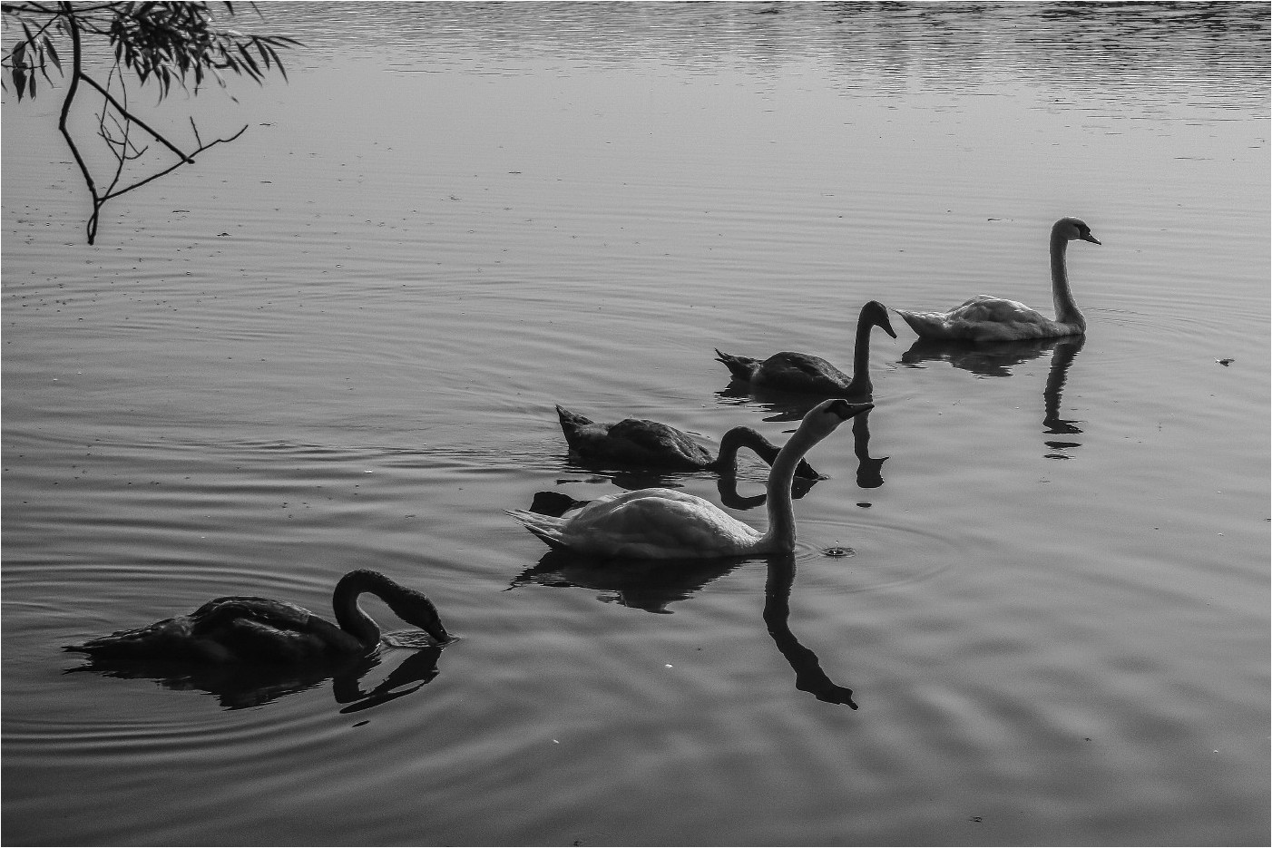 Familienbild