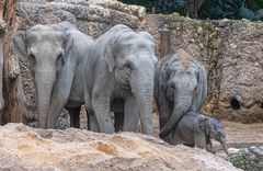 Familienbild mit Umesh