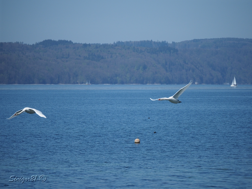 Familienflug