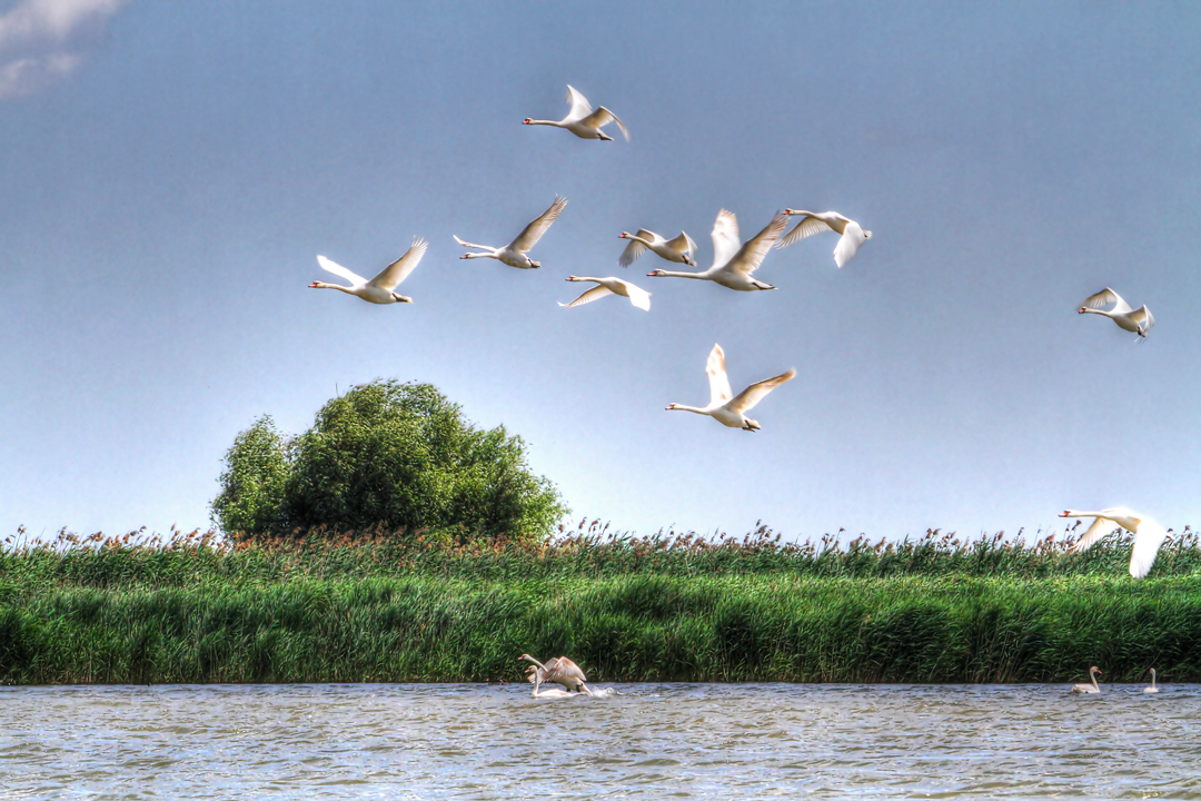 Familienflug