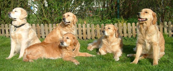 Familienfoto