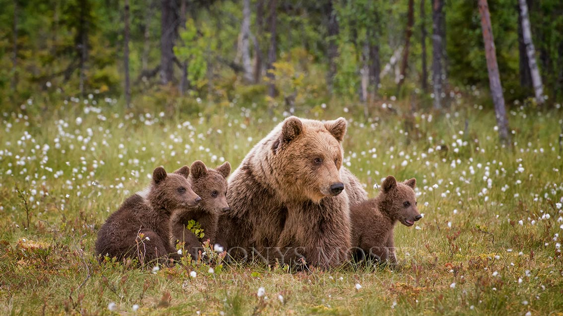 Familienfoto