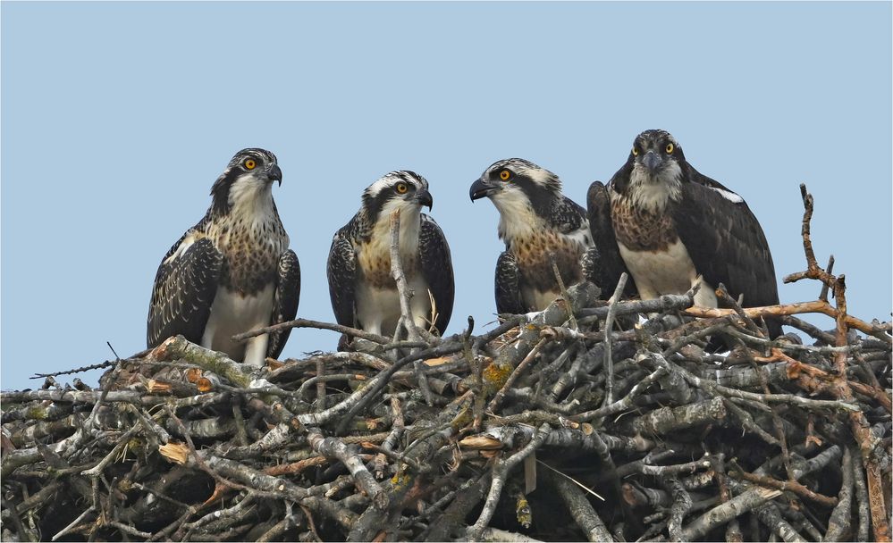 Familienfoto