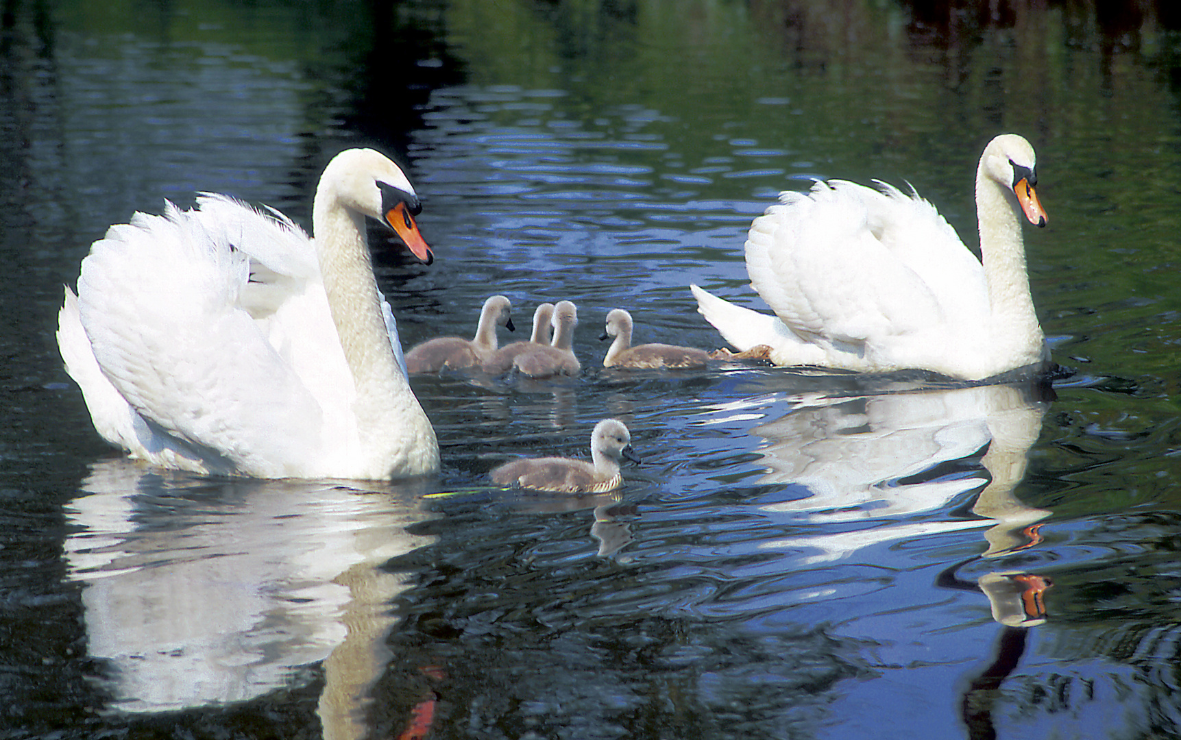 Familienfoto