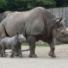 Familienfoto!