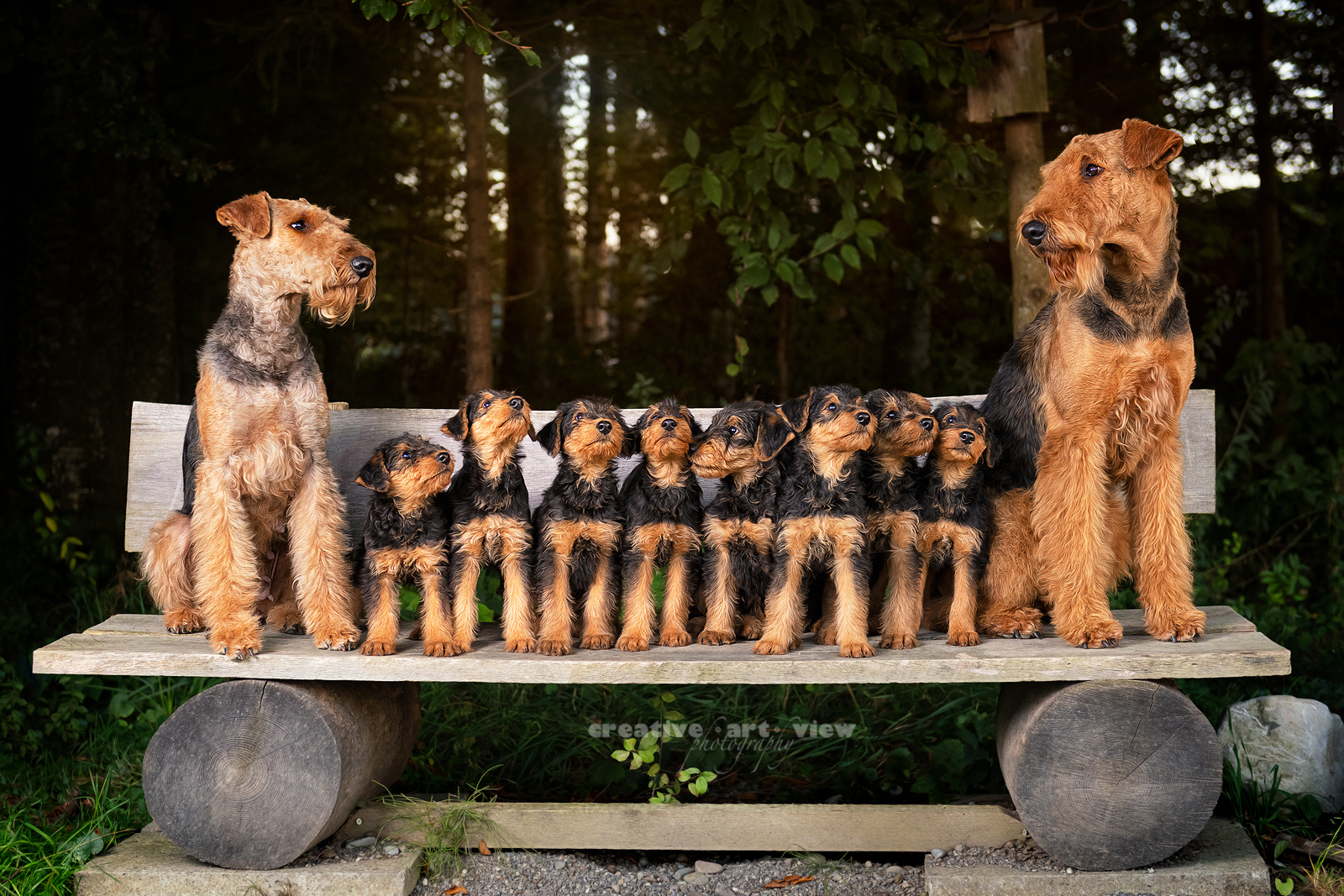 Familienfoto