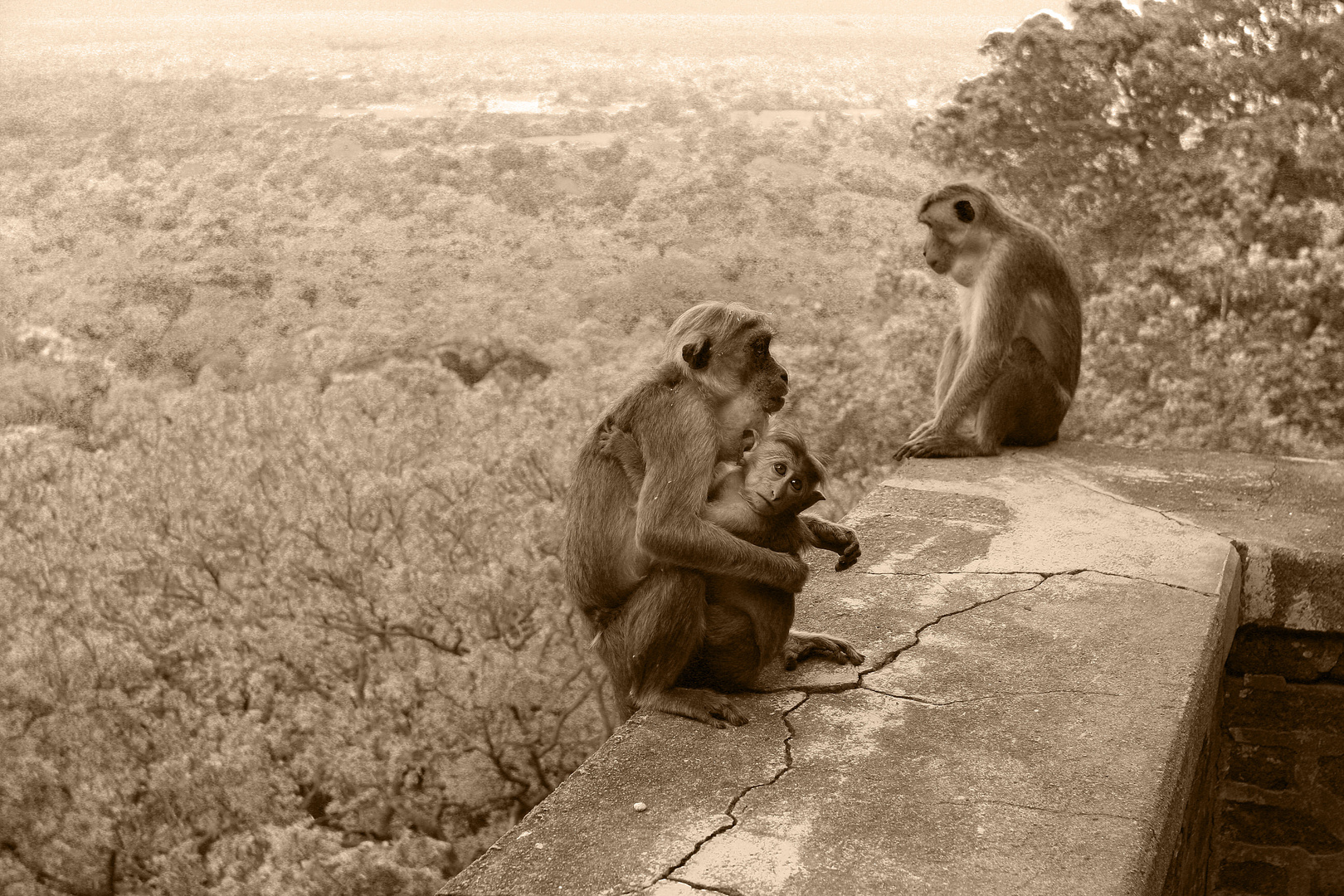 Familienfoto am Sigiriya