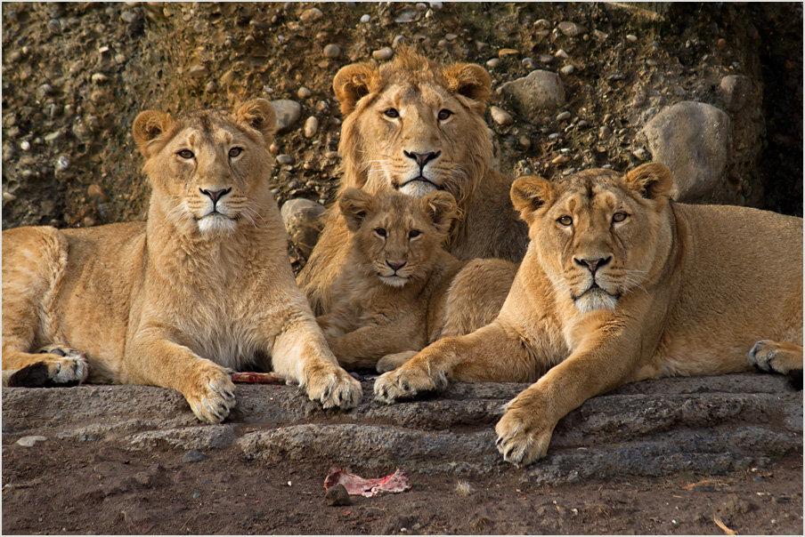 Familienfoto