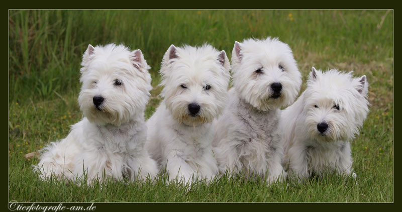 Familienfoto