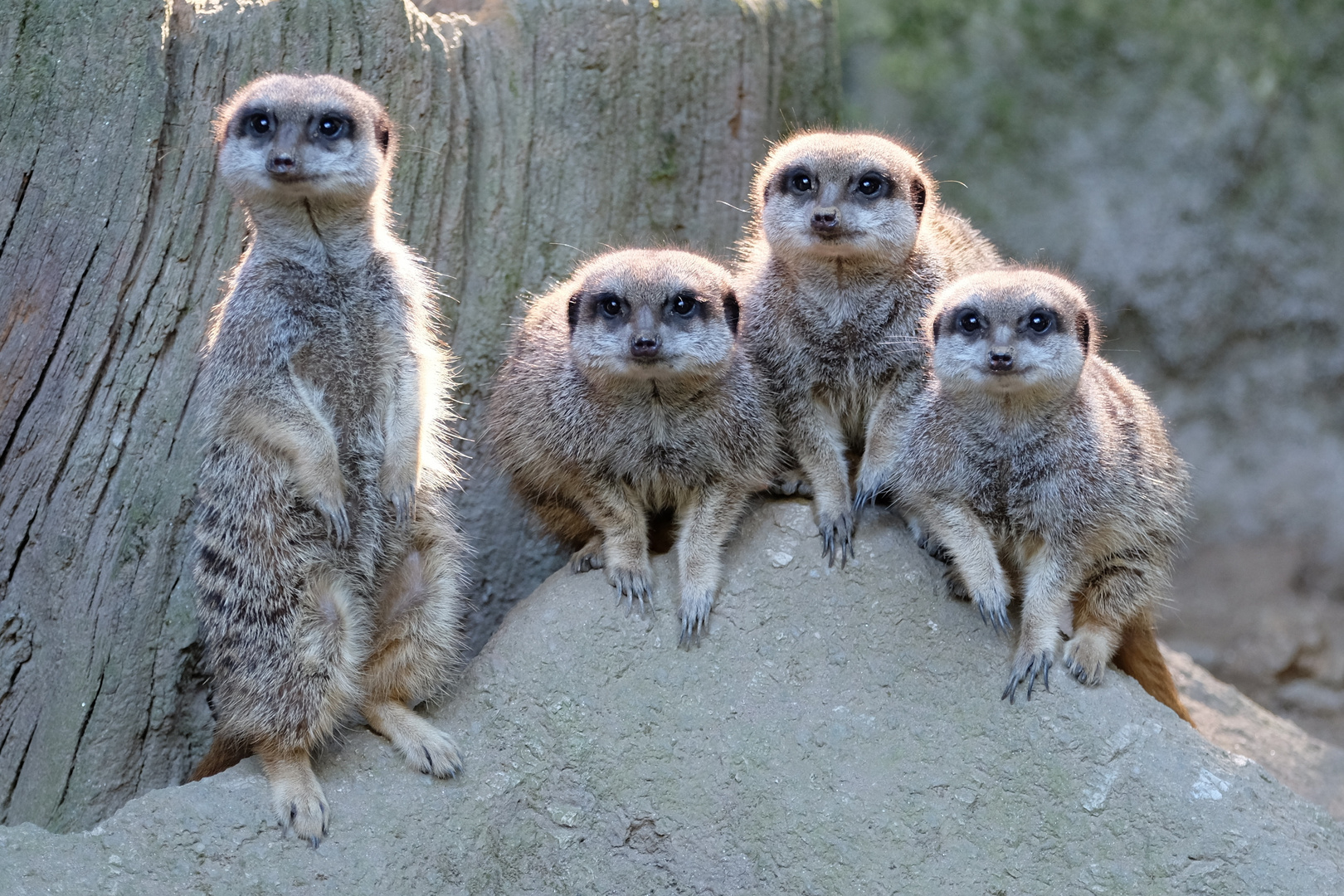 Familienfoto der Erdmann´s