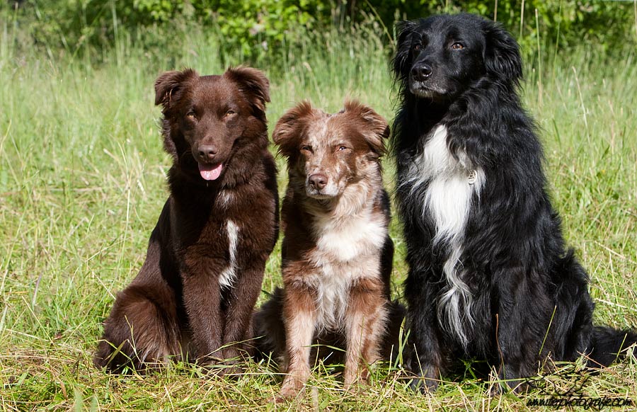 Familienfoto