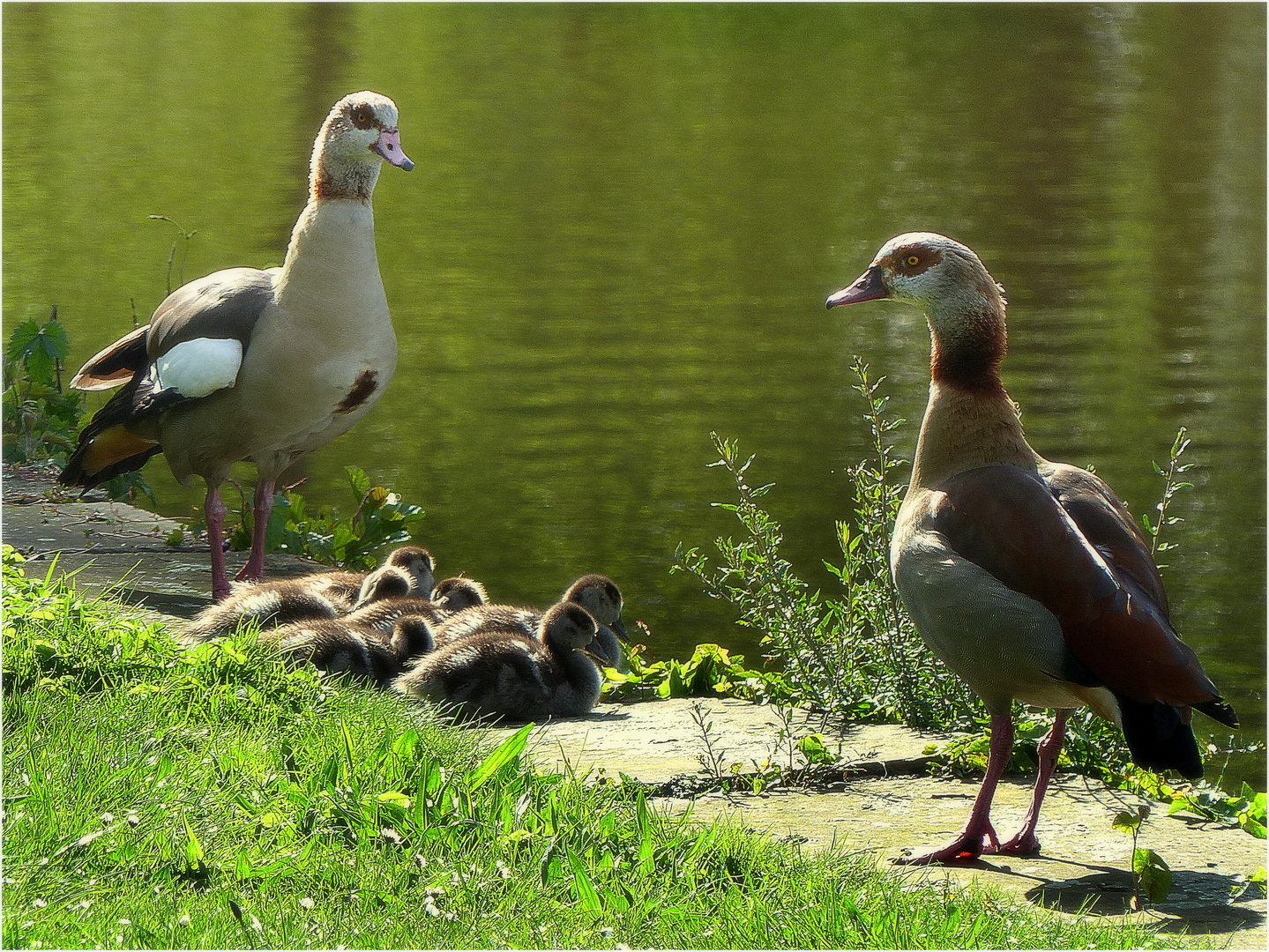 Familienfoto