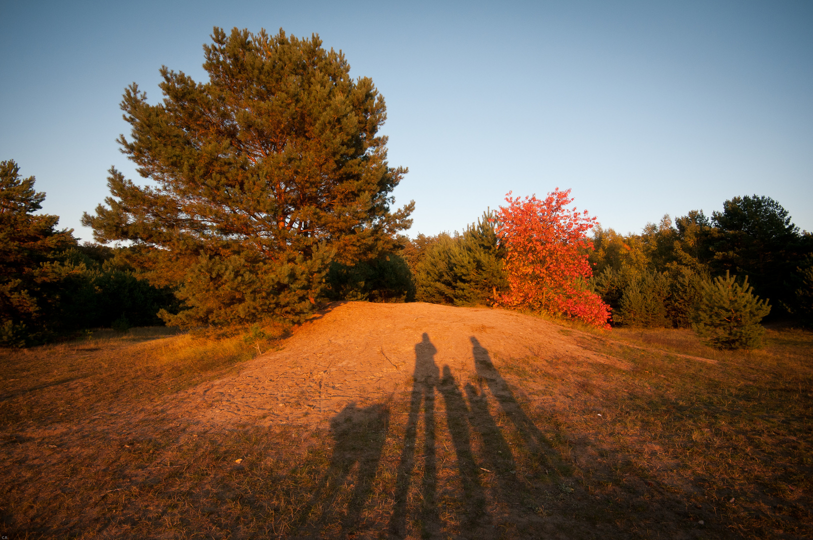 Familienfoto einmal anders