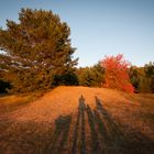 Familienfoto einmal anders