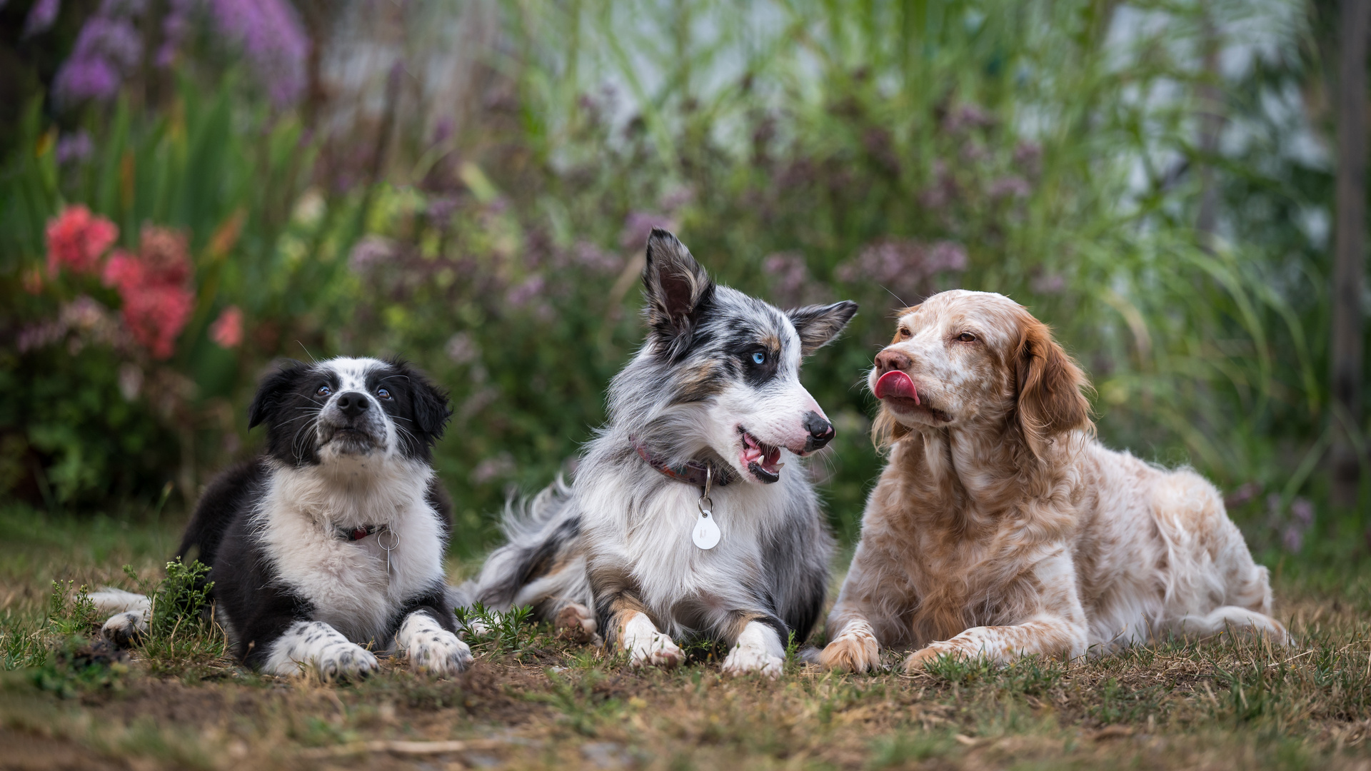 Familienfoto - Family photo