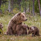 Familienfoto II