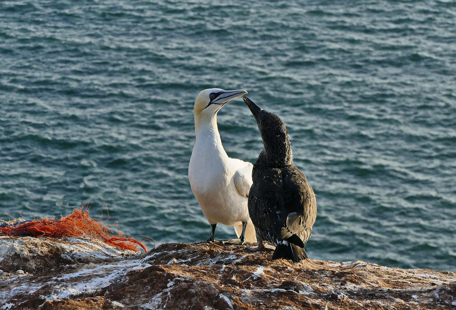 Familiengespräch auf Helgoland