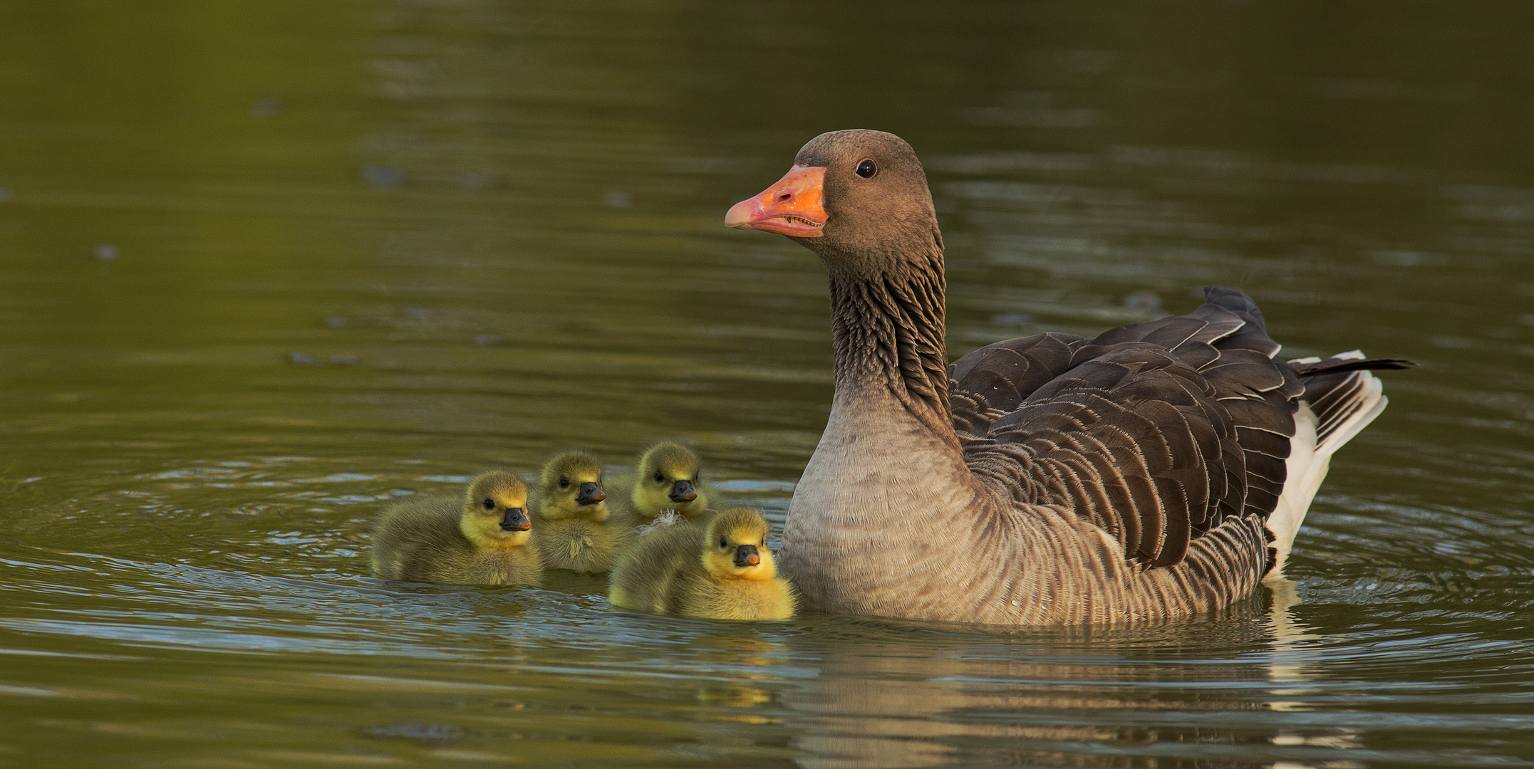 Familienglück