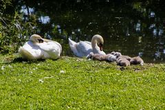 Familienidylle am Wasser