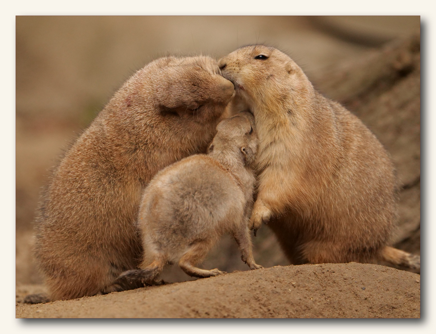 Familienkuscheln