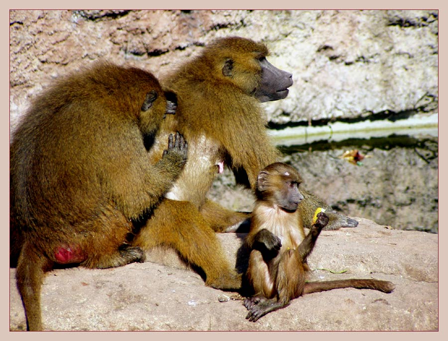 Familienleben