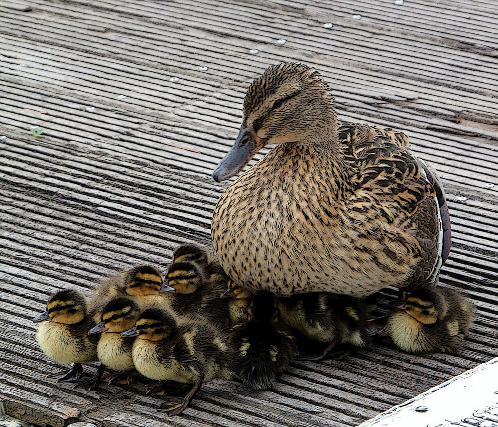 Familienleben