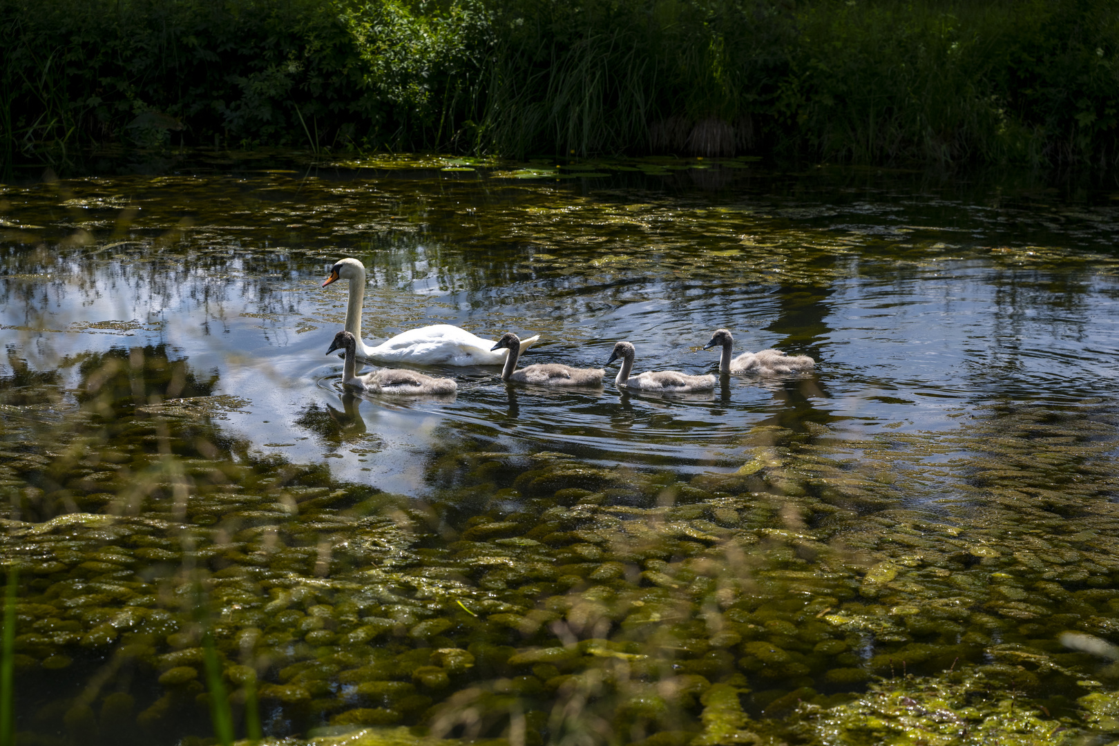 Familienleben am Ludwig-Donau-Main-Kanal