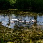 Familienleben am Ludwig-Donau-Main-Kanal