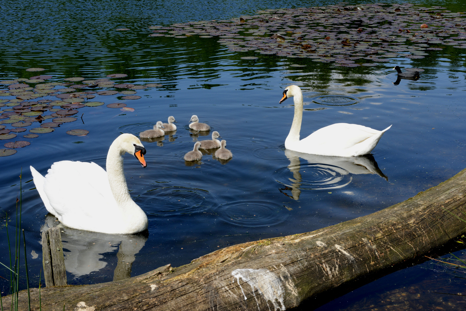 Familienleben.