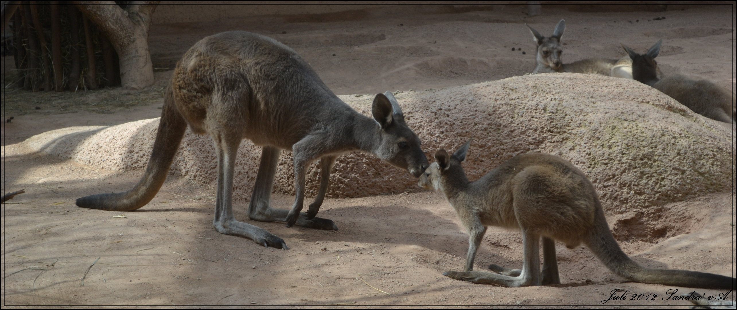 FamilienLiebe