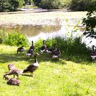 Familienpicknick