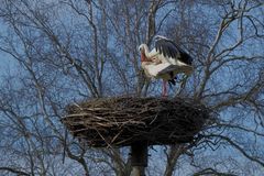 Familienplanung