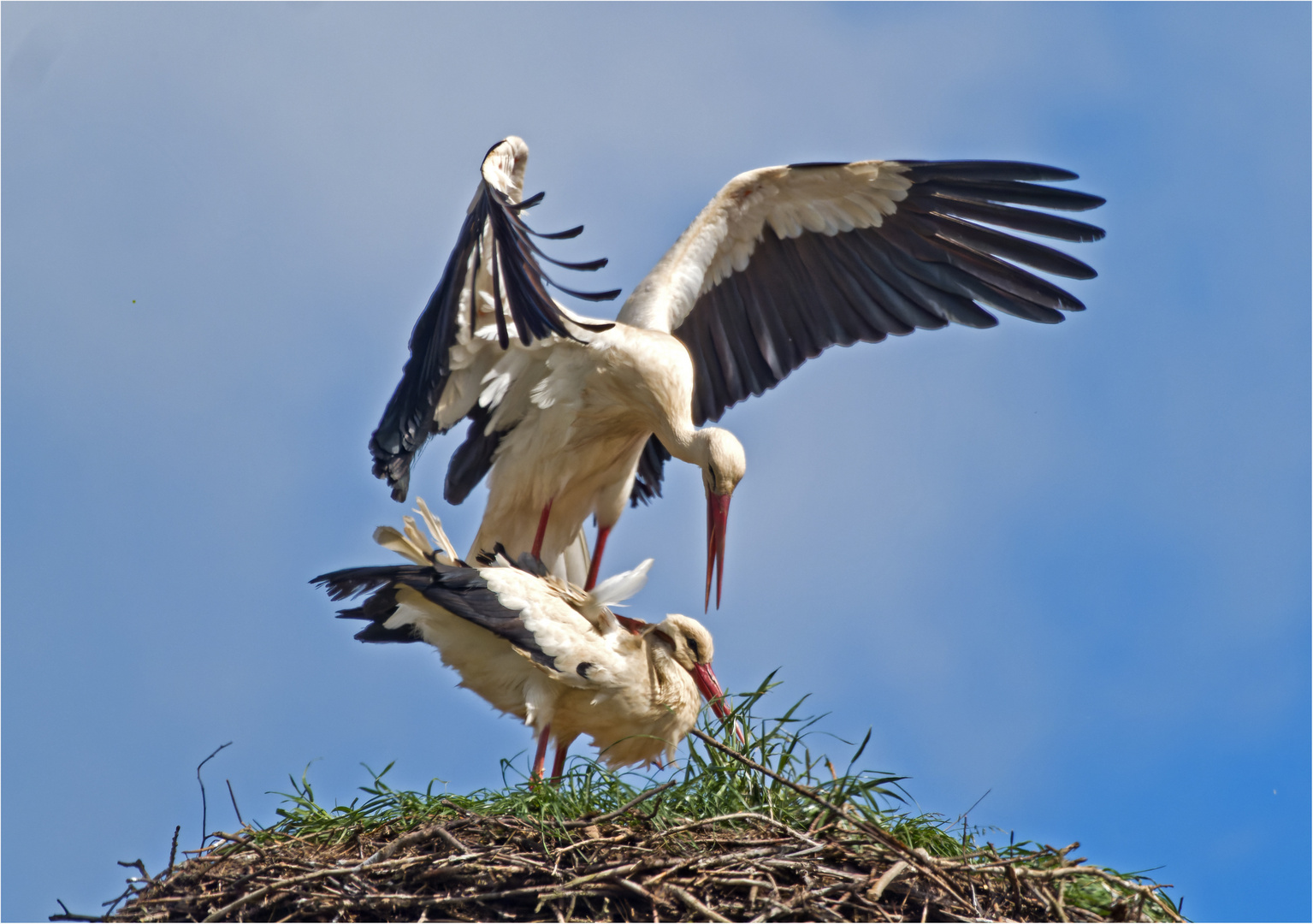 Familienplanung