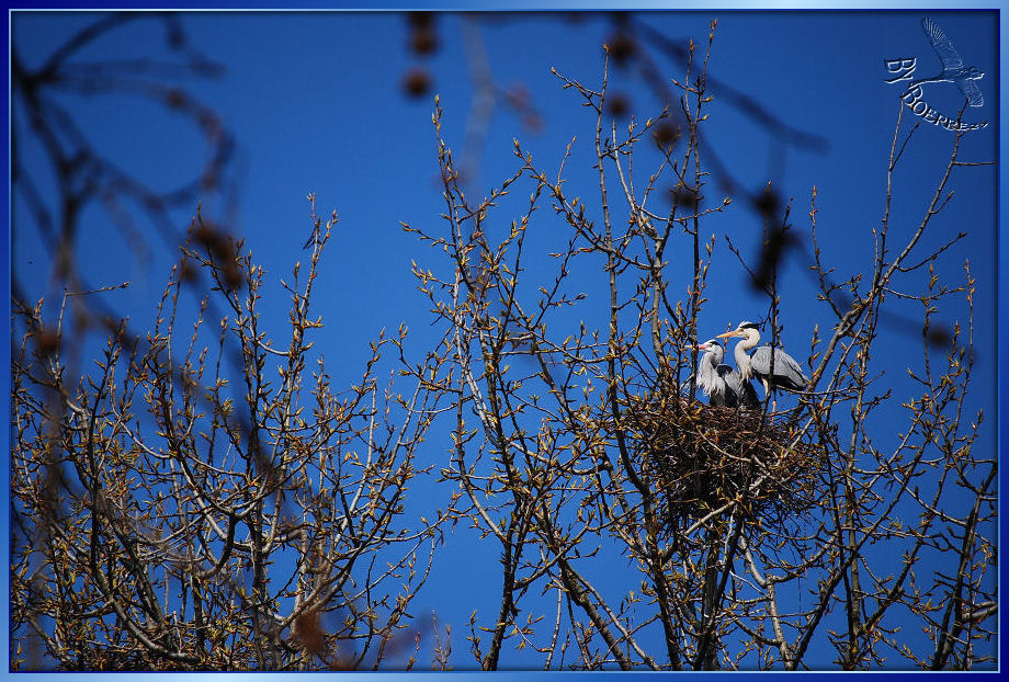 Familienplanung.............