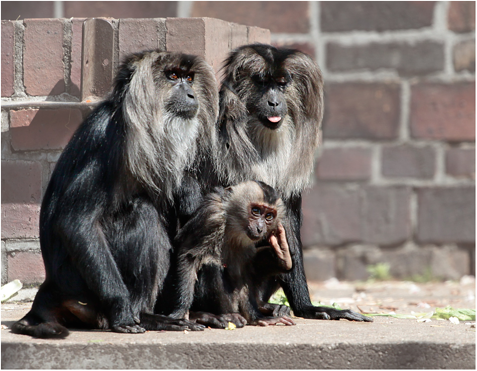 ... Familienportrait ...