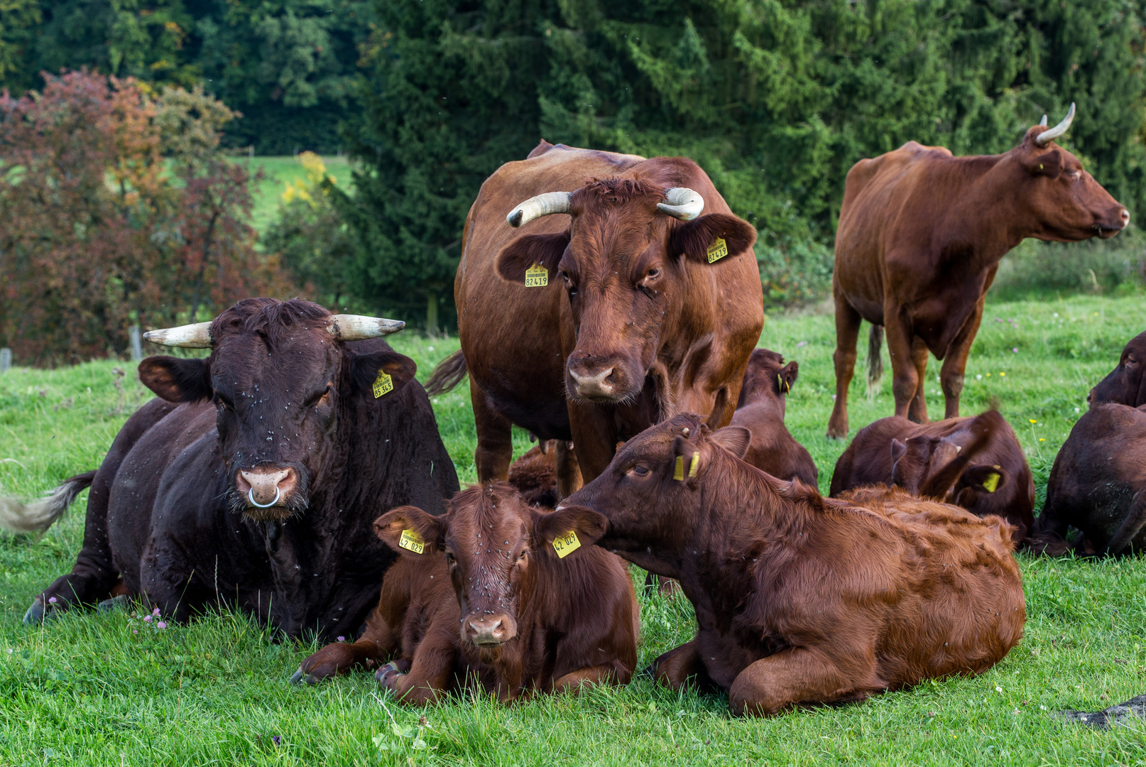 Familienportrait.